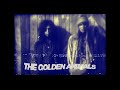 The Golden Animals - Austin Psych Fest (2009 DVD) - Track 06 - LEVITATION The Golden Animals - Austin Psych Fest (2009 DVD) - Track 06
