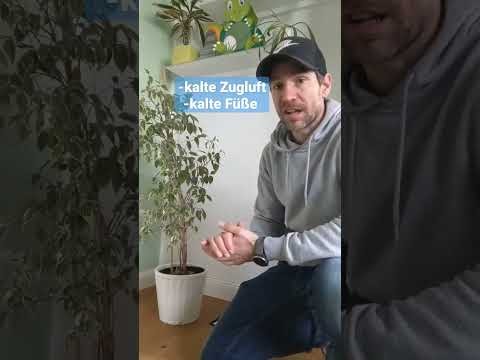 Ficus loses leaves in winter #shorts #plants #youtubeshorts