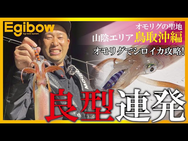 初心者も必見！エギボーでオモリグの聖地山陰エリア鳥取沖のシロイカを攻略!!