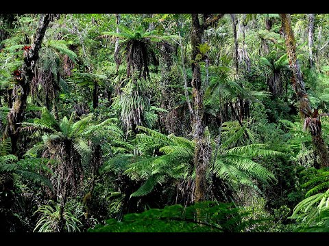 10. Energy Management & Inspection