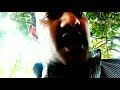 B GRADE CLIP Maddalamuralimohan B A B Grade Movies Hero And Movies Director