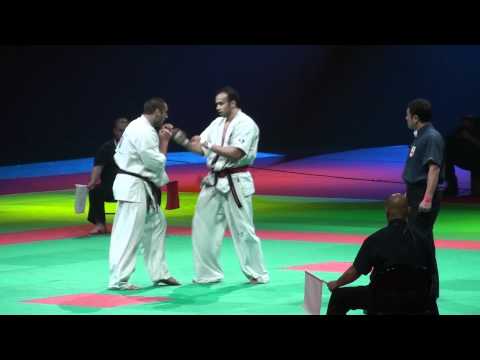 2011 European Kyokushin Karate Championship in Paris, March 26 Final 2