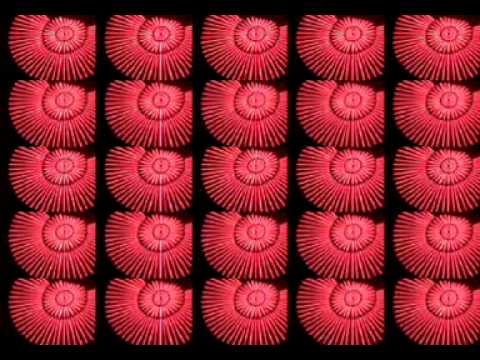 LE SPIN OVALE - SHAKI ON THE FLY (RIVERA ROTATION REMIX)