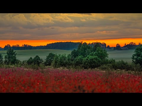 UraganiuS ir Aira - Tėviškėlė (Official video)