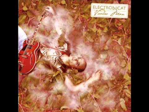 Electronicat - Flesh + Acessoires