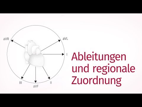 Ableitungen und regionale Zuordnung – EKG befunden | ekg.training