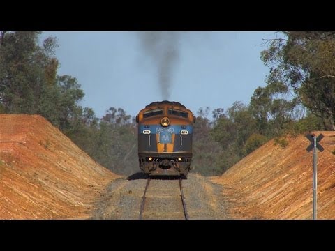 Australian Trains : Bulldogs Lead the Way