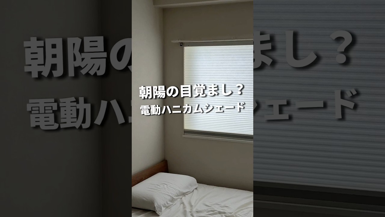 朝陽の目覚まし？ 電動ハニカムシェード #一人暮らし #ハニカムシェード #カーテン #moodify #電動ハニカムシェード #makuake #pr