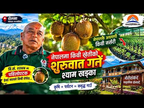 किवी नेपालमा कसरी आयो? पहिलो किवी रोप्ने किसानको कथा