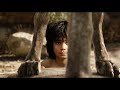 La Ley De Shere Khan El Libro De La Selva 2016 Clip Español Latino HD