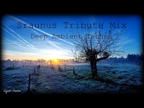 Liquid Fraction - Segue Tribute Mix - Deep Ambient Techno 5th Sep 2021.