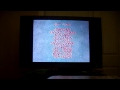 Closing Previews To Rugrats Chuckie The Brave 1996 VHS