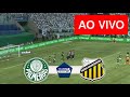 Palmeiras x Novorizontino AO VIVO COM IMAGENS | Campeonato Paulista 2024 | Jogo AO VIVO Agora!