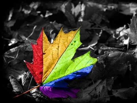 Edward Maya feat. Alicia - Stereo Love 2o1o (Milk Brothers Project Remix)