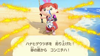 🔴【あつ森】ハナヒゲウツボ釣ったよー⭐︎出現条件は説明欄へ、魚影、場所等【Vtuber】fishing Moray eel