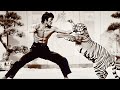 30 Bruce Lee Moments That Science Cannot Explain