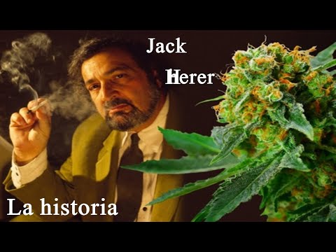 THE STORY OF JACK HERER | A LEGENDARY ACTIVIST