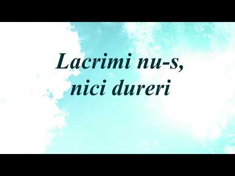 Lacrimi nu-s, nici dureri (Interpretarea)