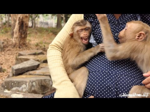 Bali's eye condition and only Jorden dared to warn him​ too So Pity