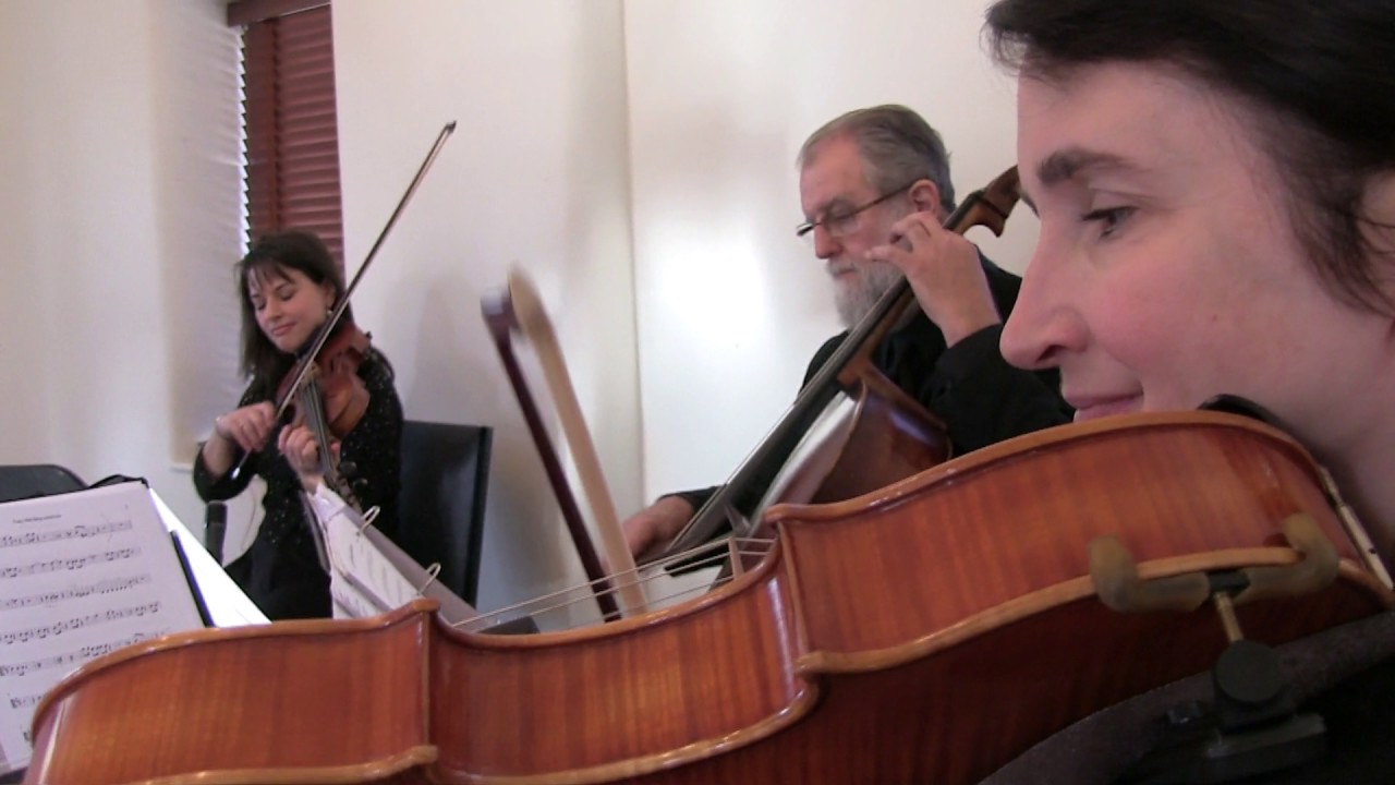 Hire Rock Creek Strings String Quartet in Brookeville, Maryland