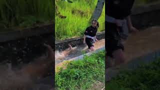 Download lagu Story WA srikandi terbaru || psht, pshw, ikspi, pn ts mp3