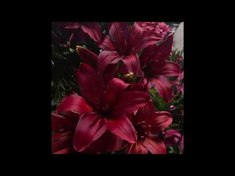 [BOUNCY] West Coast x Detroit Type Beat 2025 - "Find A Way"