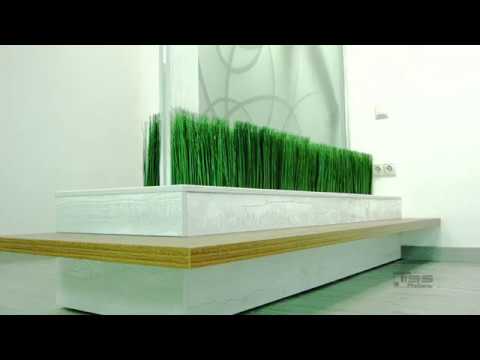 Видеообзор 2