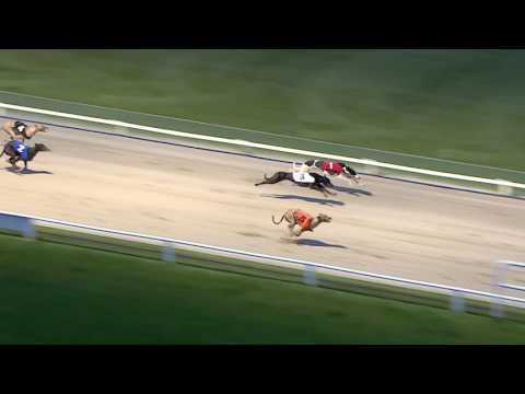 2017 STAR SPORTS DERBY - ROUND 2 - HEAT 6 - T5 THE OTHER REG