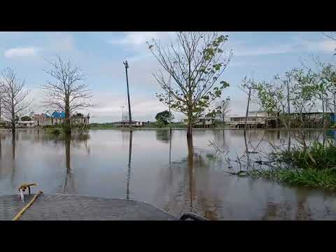 Chegando de voadeira na Ilha do Baixio - Iranduba, Amazonas.  #amazonia  #iranduba #amazonas