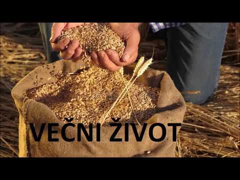 Večni život - ceo album