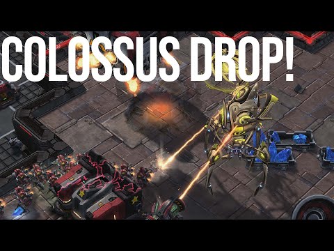 Nina's Colossus drop makes Kelazhur Sweat | Kelazhur (T) vs Nina (P)