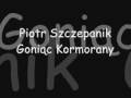 Piotr Szczepanik Goniąc Kormorany 