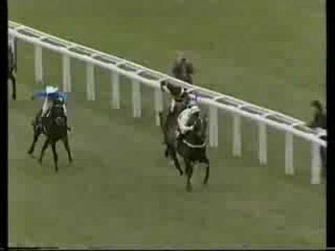 See You Then 1987 Champion Hurdle