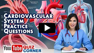 Master the Cardiovascular System Essential Practice Questions for Exam Success