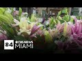 South Florida Flower Shops Feeling Pressure Of Rising Costs
