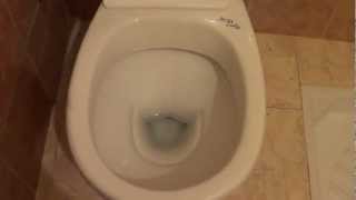 Yasha Swag - New Toilet Bowl Mark