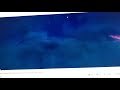 Disney Walt Disney Animation Studios LEGO Scrawl Entertainment 2018