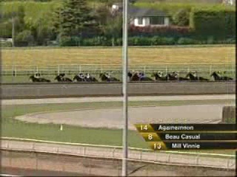 Agamemnon Wins 2008 Matamata Cup