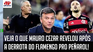 EXCLUSIVO! "A INFORMAÇÃO que eu TIVE HOJE CEDO é que o Flamengo vai..." VEJA o que Mauro Cezar FALOU