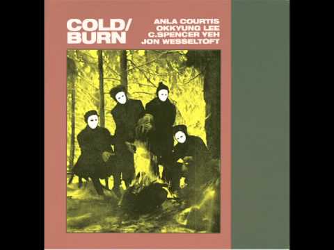 Anla Courtis, Okkyung Lee, C.Spencer Yeh, Jon Wesseltoft  "COLD-BURN" from Feeding Tube