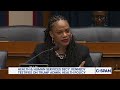 Lee: "How we could solve the Black maternal mortality crisis if we can't say 'Black'?"