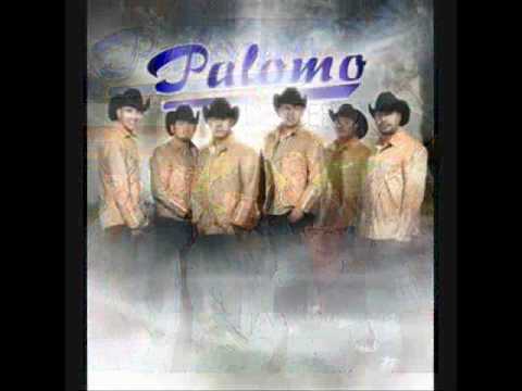 Grupo Palomo - Nos faltó