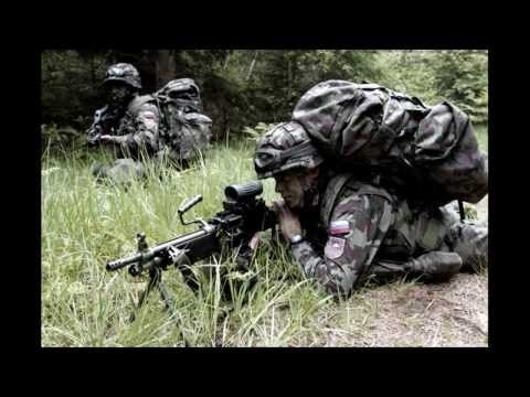 Slowenische Armee Slovenian Army