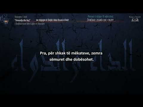 8. Pasojat e këqija të mëkateve: Dobësimi i zemrës dhe i trupit – Shejkh Abdu Rrazak El Bedr