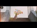 Lagdi Punjab Diya New Whatsapp Status Video
