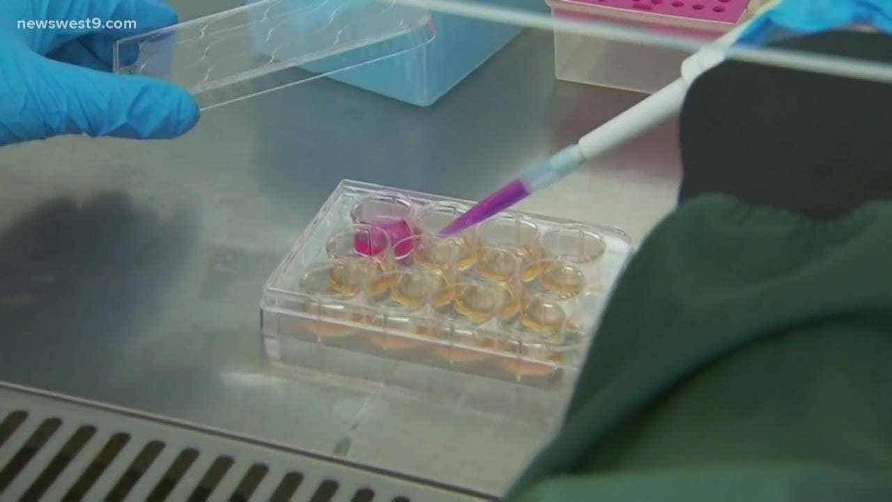 Texas woman shares experience taking Ivermectin