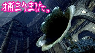 [ゆっくり実況]放浪者よーむのダークソウルpart25「大書庫」