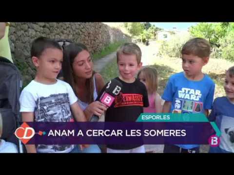 Tradicional baixada de les someres a Esporles