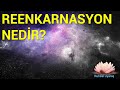 REENKARNASYON ASLINDA NEDİR? REENKARNASYON ASLINDA NEDİR?