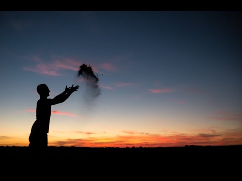 What to Do With Cremation Ashes: 10 Ways to Spread Ashes